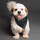 Personalised Paw Prints Dog Bandana | Personalised Bandanas For Dogs